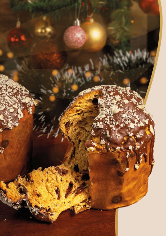 Chip Gota